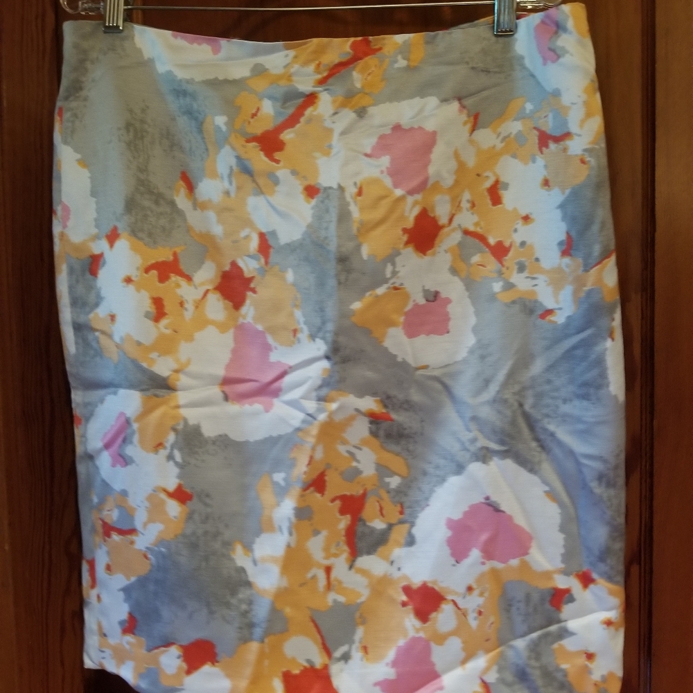 Ann Taylor Pencil Skirt